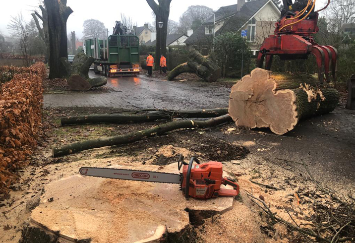 beweging hefboom Ass Bosbouw - Groenhout