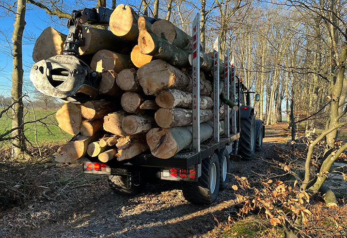 beweging hefboom Ass Bosbouw - Groenhout